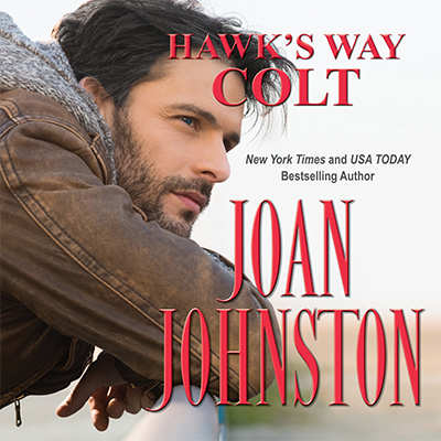 Hawk's Way Colt